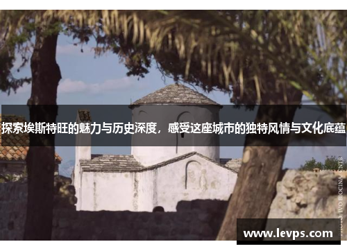 探索埃斯特旺的魅力与历史深度，感受这座城市的独特风情与文化底蕴